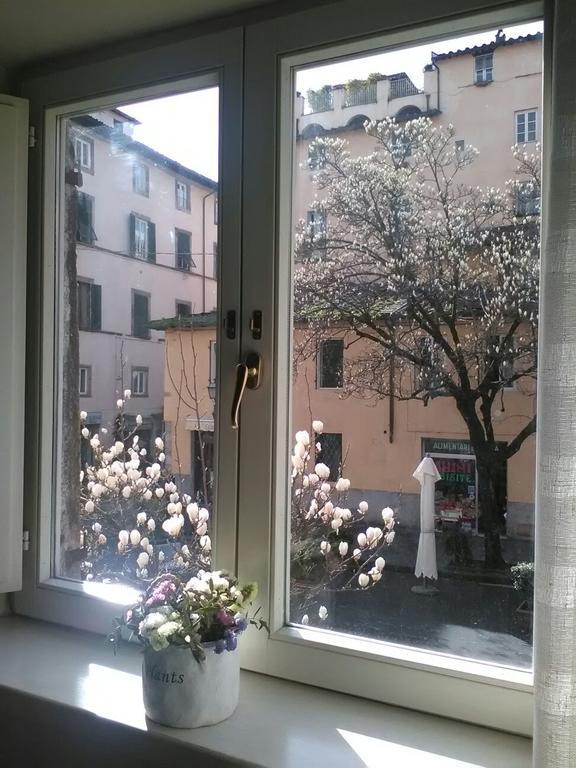 Suite Sofia Lucca Luaran gambar